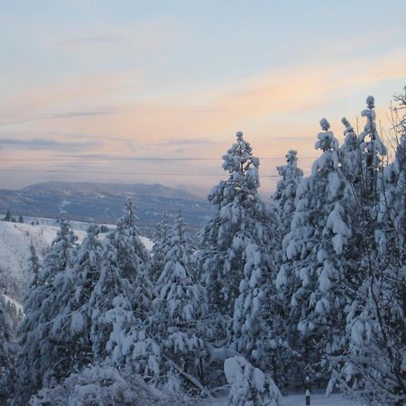 Whitebird Summit Lodge Grangeville Zewnętrze zdjęcie