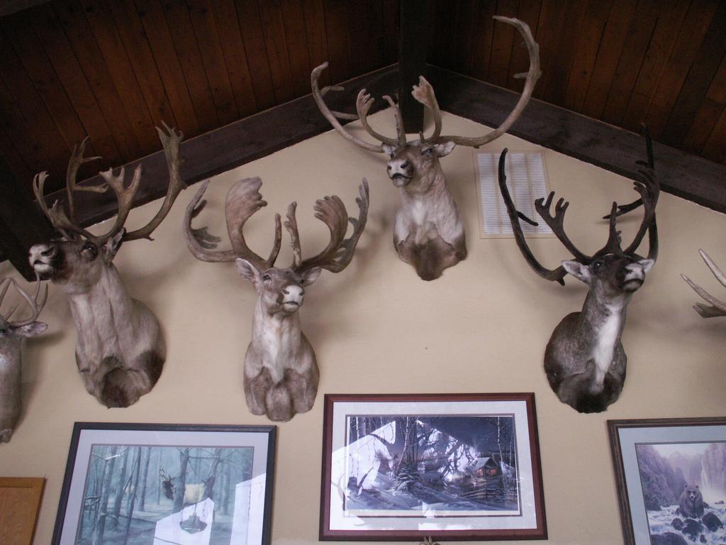 Whitebird Summit Lodge Grangeville Zewnętrze zdjęcie