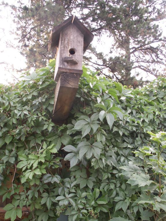 Whitebird Summit Lodge Grangeville Zewnętrze zdjęcie